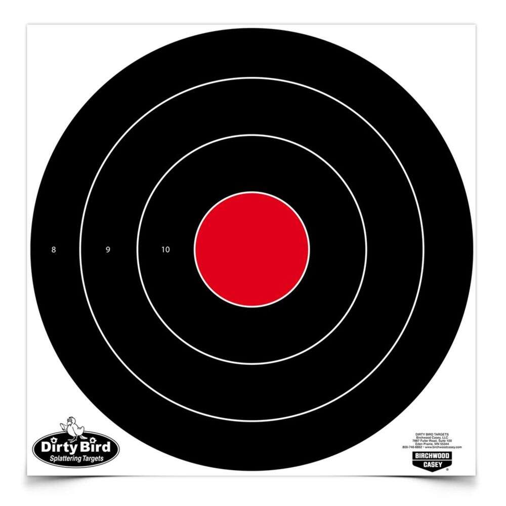 Targets Birchwood Casey Tagboard BIR 35181          DIRTYBRD 17.25 RND        100PK • Model: Tagboard